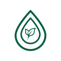 Promotes Natural Detox Processes